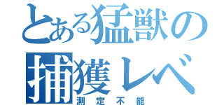 とある猛獣の捕獲レベル（測定不能）