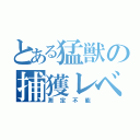 とある猛獣の捕獲レベル（測定不能）