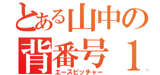 とある山中の背番号１（エースピッチャー）