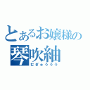 とあるお嬢様の琴吹紬（むぎゅううう）