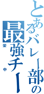 とあるバレー部の最強チーム（栄中）