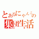 とあるにゃんこの集団生活（日常）