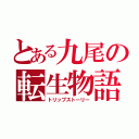 とある九尾の転生物語（トリップストーリー）