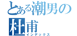 とある潮男の杜甫（インデックス）