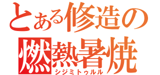 とある修造の燃熱暑焼（シジミトゥルル）