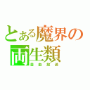 とある魔界の両生類（自由放送）