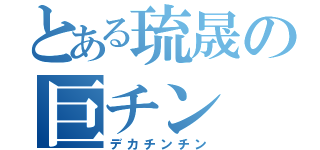 とある琉晟の巨チン（デカチンチン）