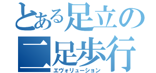 とある足立の二足歩行（エヴォリューション）