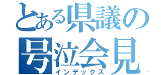 とある県議の号泣会見（インデックス）