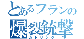 とあるフランの爆裂銃撃（ガトリング）