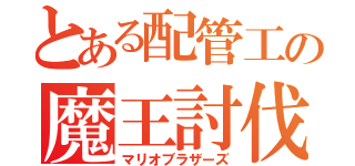 とある配管工の魔王討伐（マリオブラザーズ）