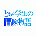 とある学生の冒険物語（ストーリー）