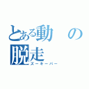 とある動の脱走（ズーキーパー）