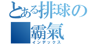 とある排球の 霸氣（インデックス）