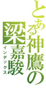 とある神鷹の梁嘉駿（インデックス）