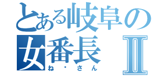 とある岐阜の女番長Ⅱ（ね〜さん）