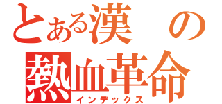 とある漢の熱血革命（インデックス）