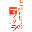 とあるビビリのマイクラ（実況）