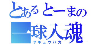 とあるとーまの一球入魂（ヤキュウバカ）