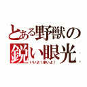 とある野獣の鋭い眼光（いいよ！来いよ！）