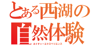 とある西湖の自然体験（ネイチャーエクスペリエンス）