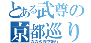 とある武尊の京都巡り（ただの修学旅行）