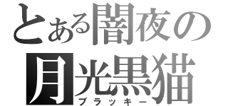 とある闇夜の月光黒猫（ブラッキー）