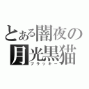 とある闇夜の月光黒猫（ブラッキー）