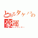 とあるタケノコの豪運（ハイラッキー）