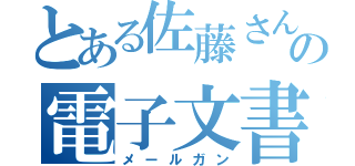 とある佐藤さんの電子文書（メールガン）