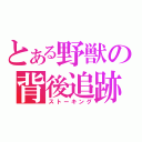 とある野獣の背後追跡（ストーキング）