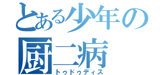 とある少年の厨二病（トゥドゥディス）