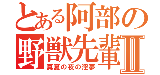 とある阿部の野獣先輩Ⅱ（真夏の夜の淫夢）