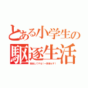 とある小学生の駆逐生活（駆逐してやる！一匹残らず！）