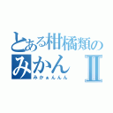 とある柑橘類のみかんⅡ（みかぁんんん）