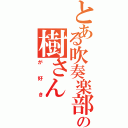 とある吹奏楽部の樹さん（が好き）