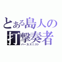 とある島人の打撃奏者（パーカスニスト）