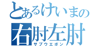 とあるけいまの右肘左肘（サブウエポン）