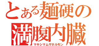 とある麺硬の満腹内臓（マキシマムザホルモン）