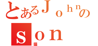 とあるＪｏｈｎのｓｏｎ（猫）