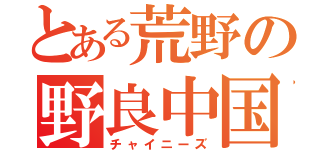 とある荒野の野良中国人（チャイニーズ）