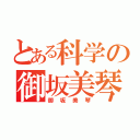 とある科学の御坂美琴（御坂美琴）