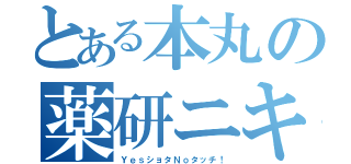 とある本丸の薬研ニキ（ＹｅｓショタＮｏタッチ！）