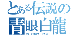 とある伝説の青眼白龍（ブルーアイズホワイトドラゴン）