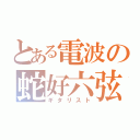 とある電波の蛇好六弦（ギタリスト）