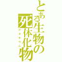 とある生物の死体化物（アダギウム）