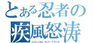 とある忍者の疾風怒涛（シュトゥルム・ウント・ドランク）