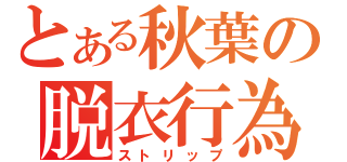 とある秋葉の脱衣行為（ストリップ）