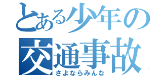 とある少年の交通事故（さよならみんな）