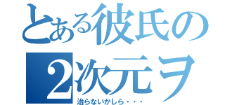 とある彼氏の２次元ヲタ（治らないかしら・・・）